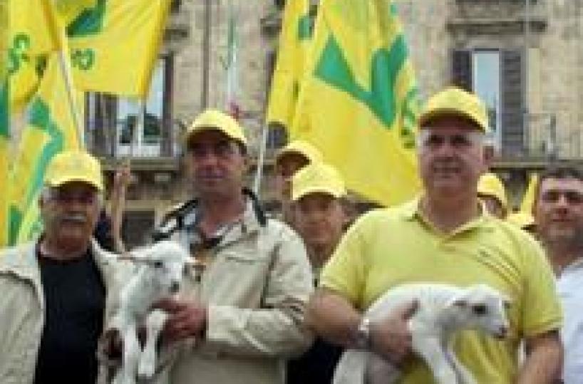 Protesta pastori a Ministero Agricoltura