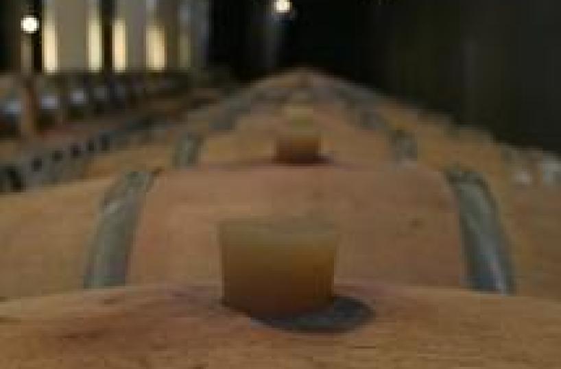 Esalazioni mosto,1 morto e 2 intossicati