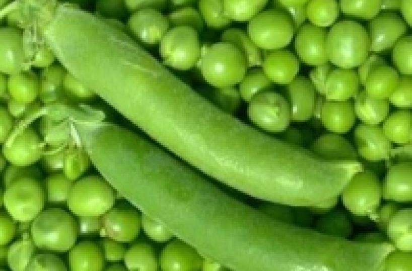 «Aiuto, c’è un topo morto nella scatola di piselli»