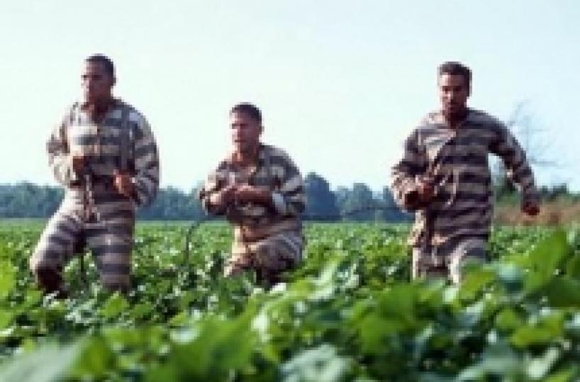 Il giudice a un tranese: hai un'altra chance sennò "lavori forzati"