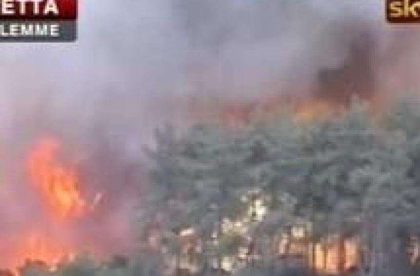 Israele: incendio, materiale da Italia