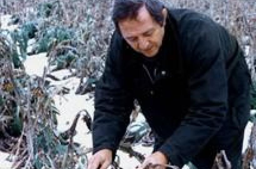 Maltempo, Cia Puglia: subito sgravi fiscali