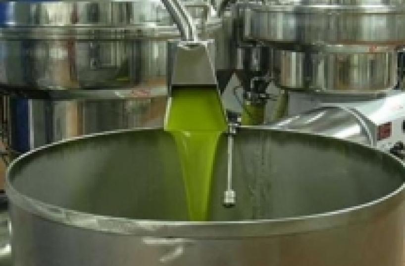 Olio adulterato e contrabbando8 arresti nel Foggiano della Gdf