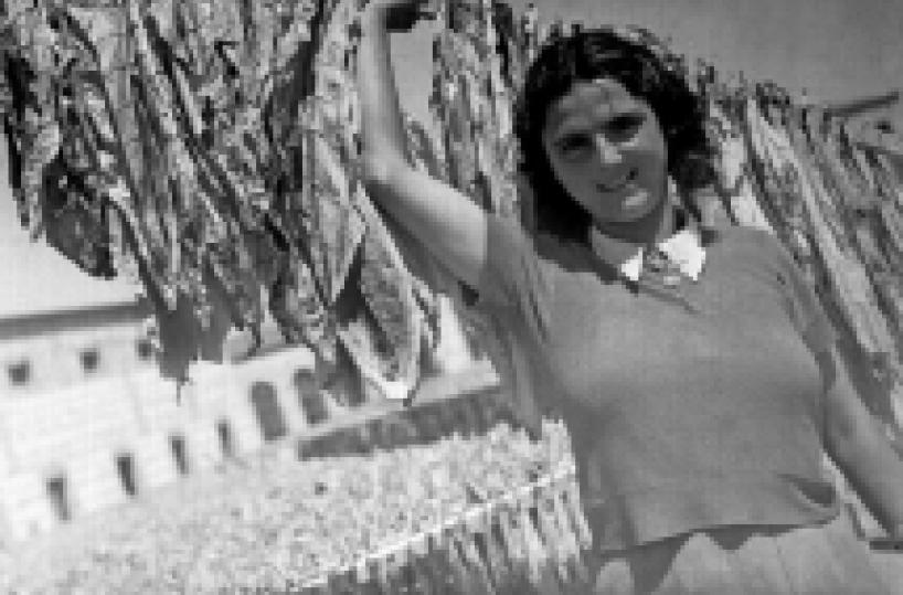 Lecce, la Manifattura Tabacchi chiude e finisce un'epoca