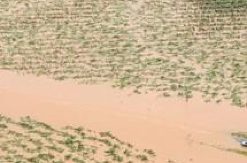 Australia,catastrofi colpiscono economia