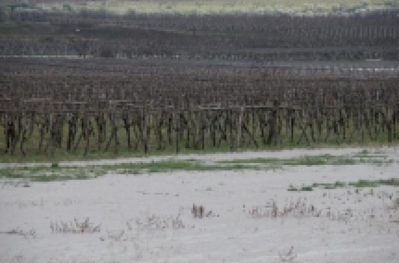 Maltempo: esondano Agri, Ofanto Sinni e Basento 