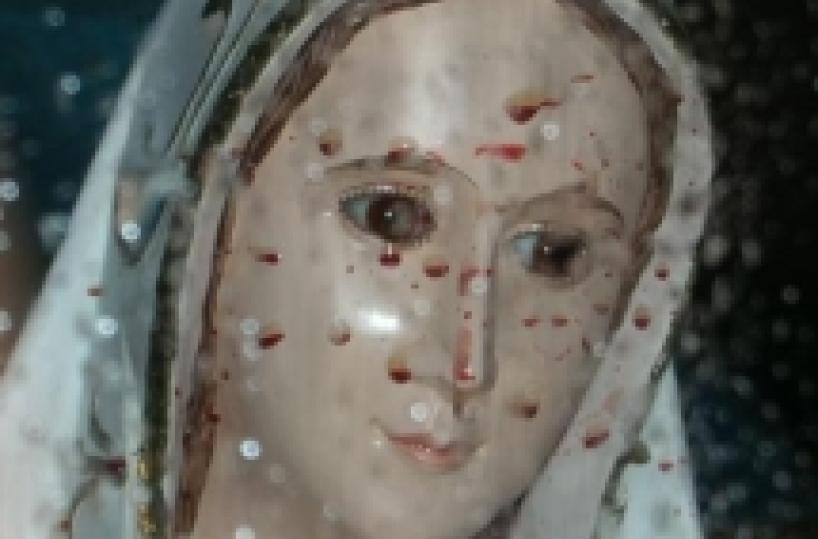 Miracolo o truffa? «È sangue,  la Madonna piange»