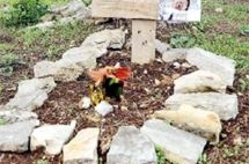 Scoperto a Japigia un cimitero per cani