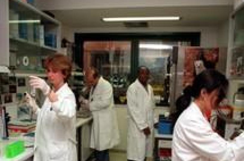 Italian AIDS vaccine to be tested in South Africa