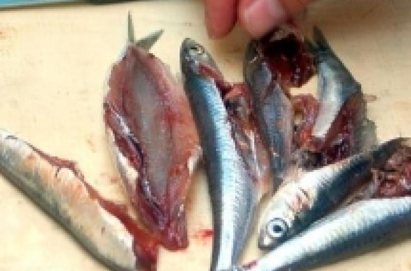 L'allarme della Asl: &laquo;Stop al pesce crudo per presenza Anisakis&raquo;