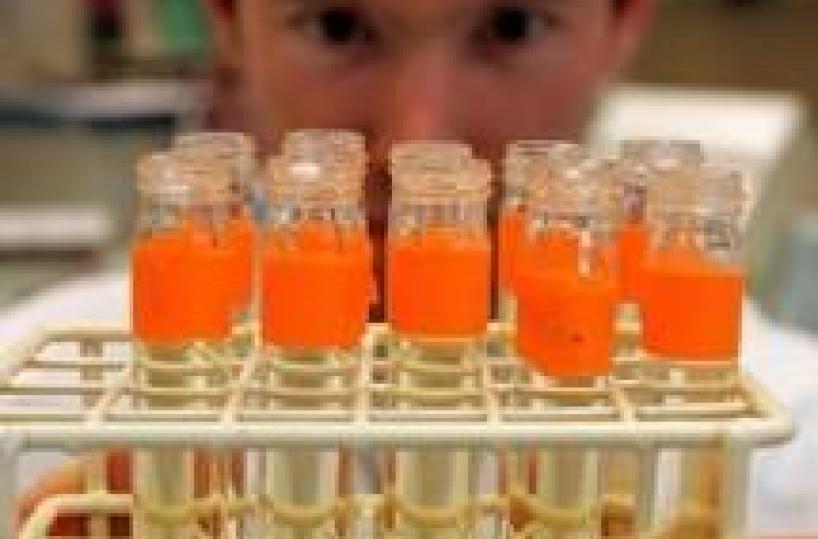 Positivo all'Epo ciclista Pasquale Muto