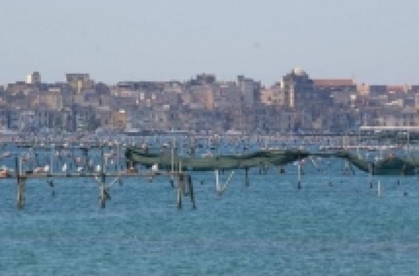 Diossina in Mar Piccolo «Dall’Arpa un allarme già due anni fa»
