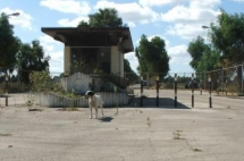 Amati e Fratoianni: scrivono al ministro «Verità su Cie a San Vito» Viaggio nella città fantasma  
