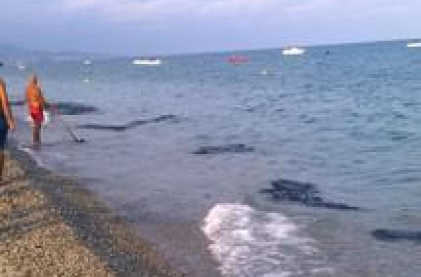 Turismo, stranieri spendono di piu'
