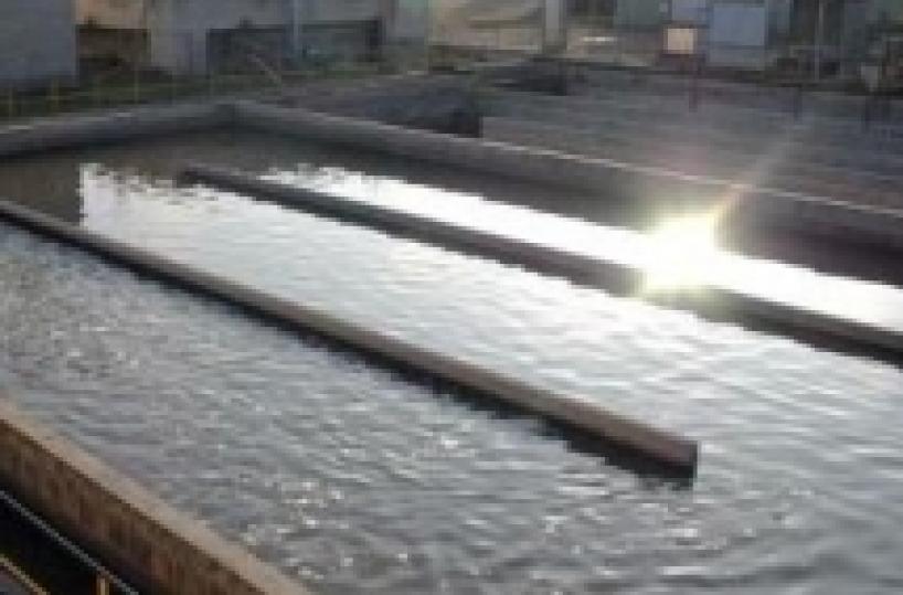 «Acqua sporca» in mare  sequestrati 4 depuratori Ventuno gli indagati
