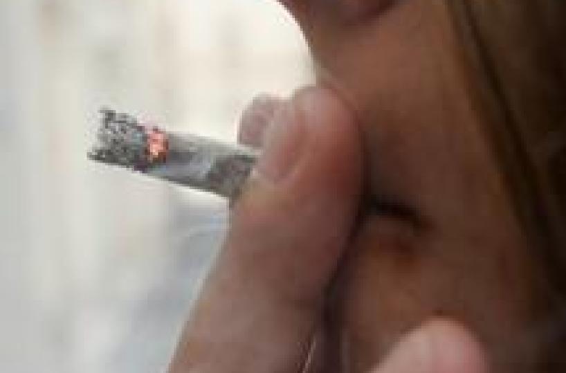 Sequestrati 32 kg di marijuana arrestat un 54enne albanese