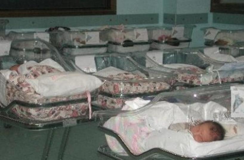 Potenza, ricoveri sospesi a Neonatologia: i piccoli saranno trasferiti