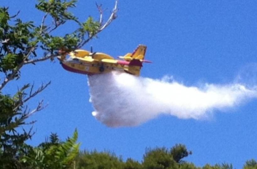 Sorpreso a incendiare il Parcopreso piromane sul Pollino