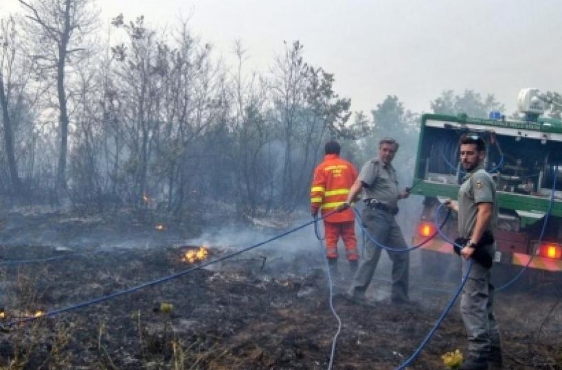 Gravina, rogo minaccia ancora bosco Difesa Grande: fiamme riprendono vigore dopo 2 giorni 