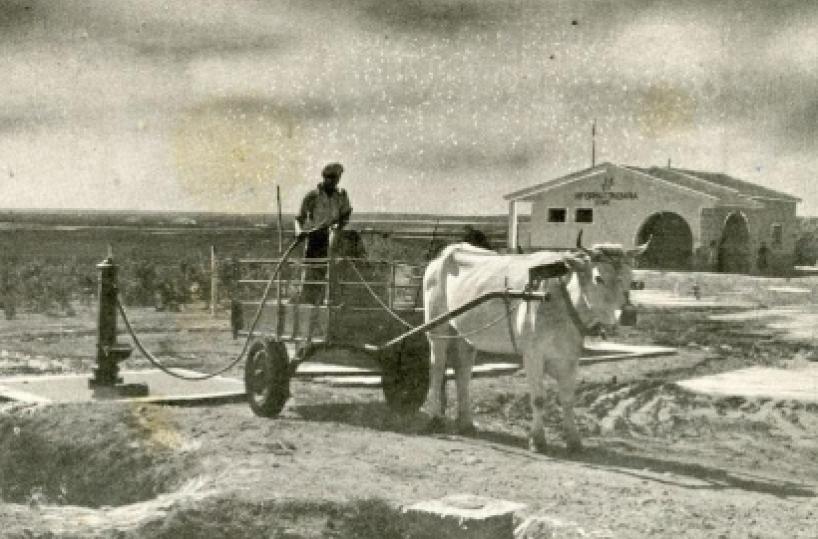 «Storia nostra» La terra di Puglia a chi la lavora