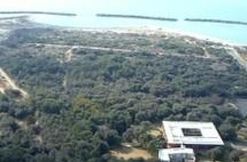 San Rossore, ex tenuta diventera' resort