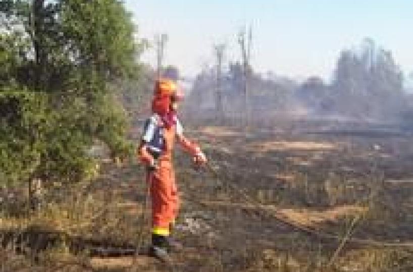 One dead as wildfires rage across Italy