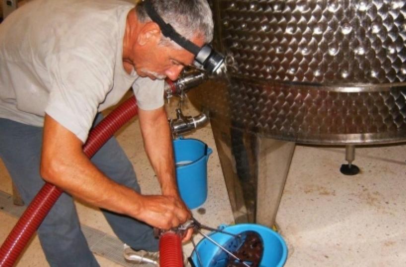 Ammiraglio in pensione cura il suo Primitivo a suon di musica classica