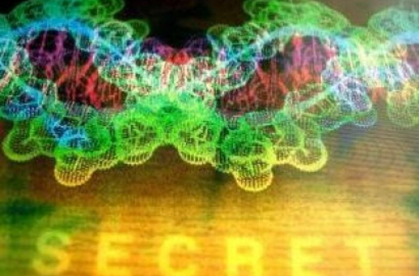 A 40 anni scopre vero padre noto ginecologo leccese «incastrato» da esame Dna