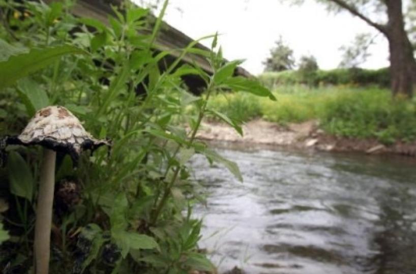 Basilicata, il fiume Basento  in due punti  ancora oltre la soglia