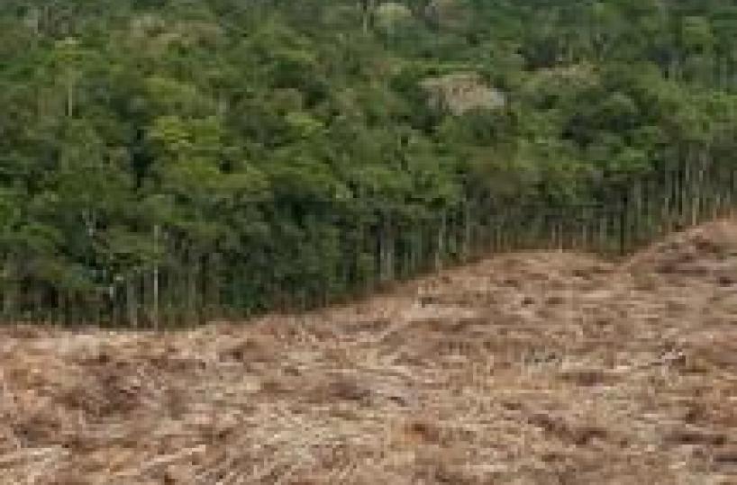 Attacco a indigeni Amazzonia, 18 morti