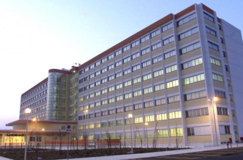«Vieni, ti leggiamo la mano»ma rapinano una disabile