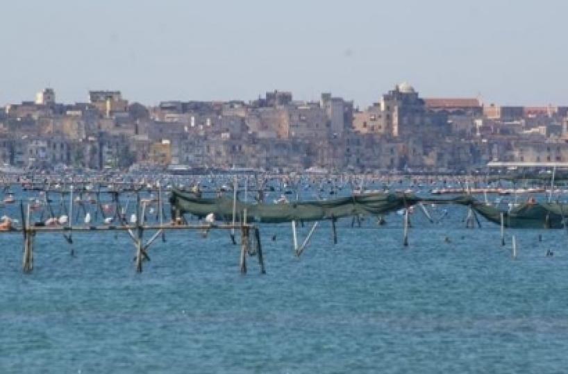 Bonifica Mar Piccolo di Taranto, Legambiente e sindacati scrivono al Ministero dell'Ambiente: «Basta commissariamento»