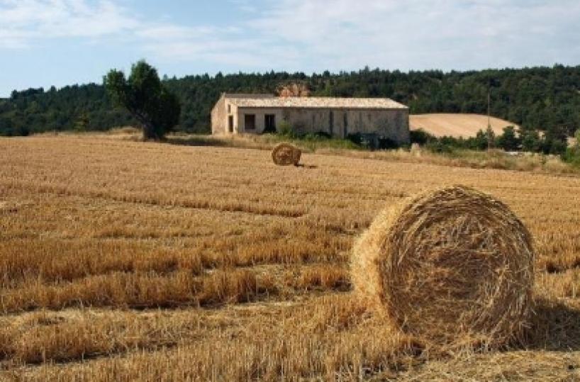 Agricoltura, più giovani imprenditori lo scelgono come lavoro