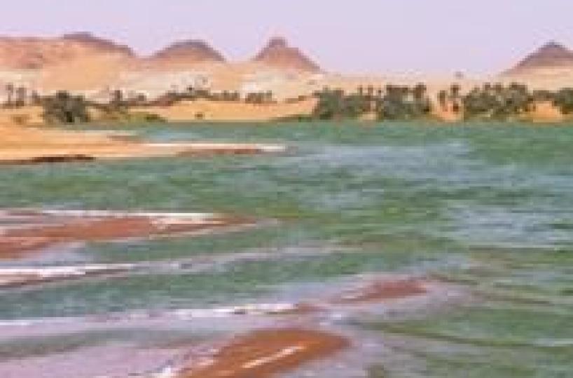 Ciad: governo,arrestati destabilizzatori