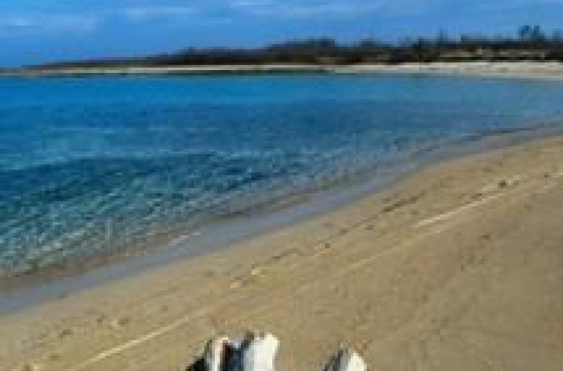 Affitta casa al mare che non esiste: una denuncia