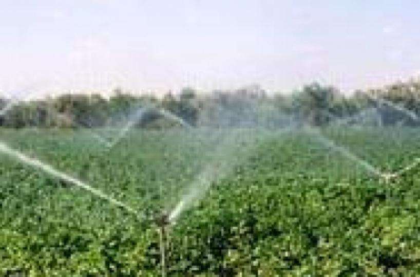 Acqua a Taranto, Autorità bacino: ok a più metri cubi per irrigare