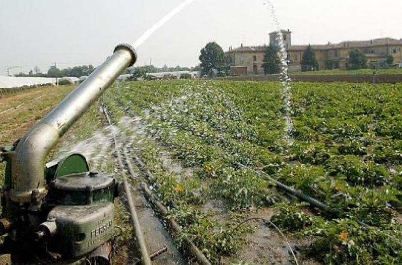 Vulture, campi senz’acqua: un crac da tre milioni di euro