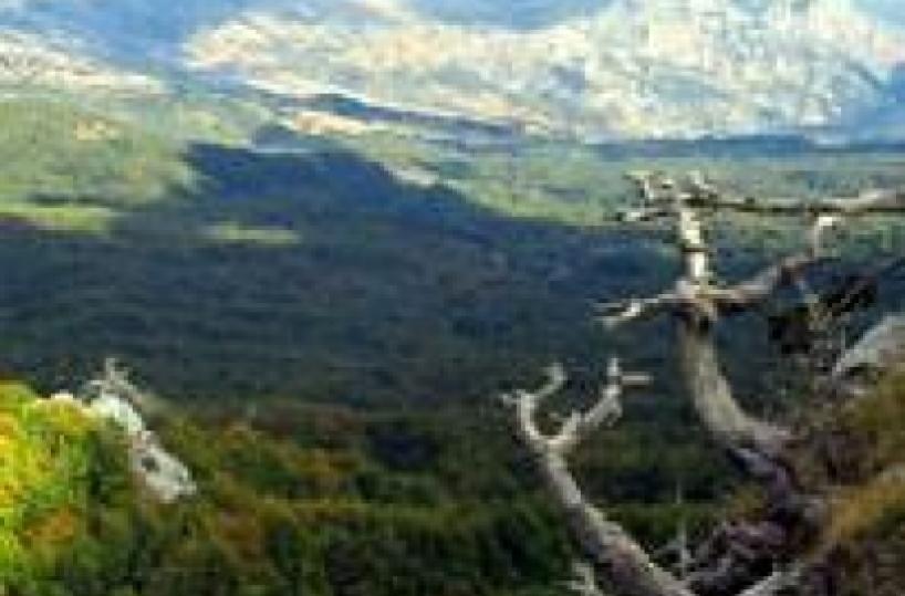 I week end sul Pollino fra natura silenzi e arte