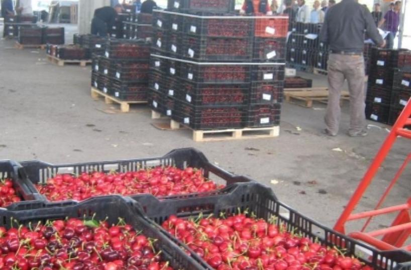 Lavoro nero, chiusa dai Ccazienda agricola di Turi