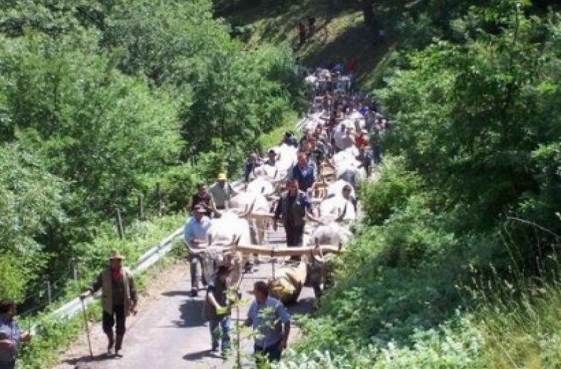 La festa del Mascio oggi a Pietrapertosa