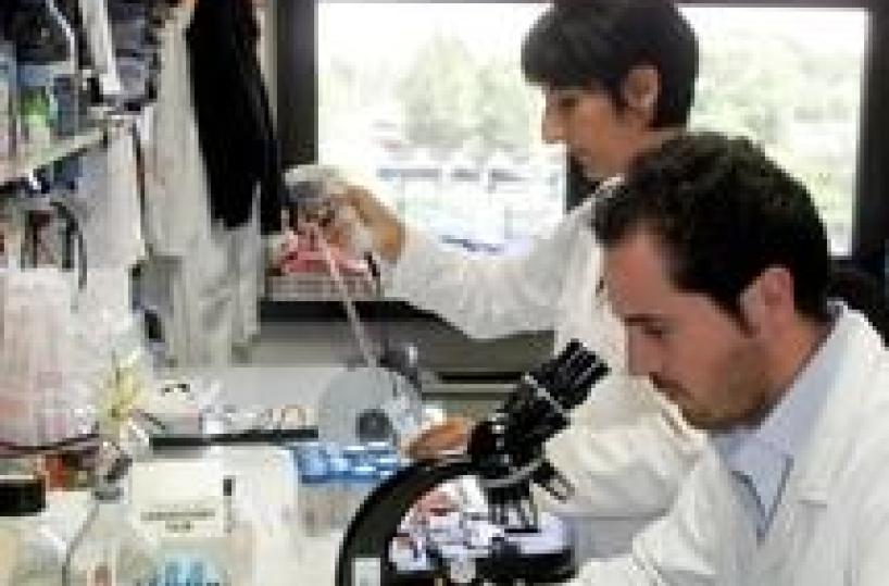 Associations appeal to Italian govt to not cut AIDS funding