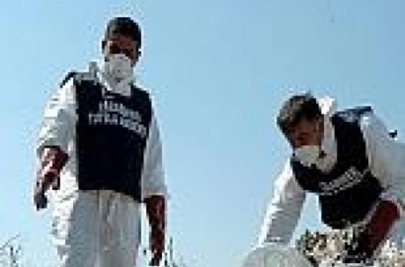 Scarichi non autorizzati sequestrata azienda vinicola a Trinitapoli