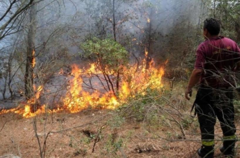Lecce, scatta il divieto di accensione dei fuochi e barbecue nei boschi