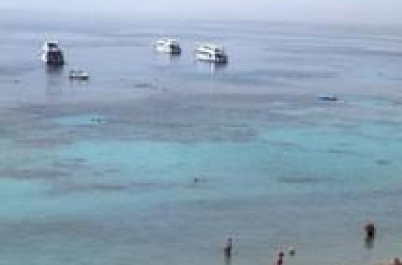 Egitto: Farnesina,no viaggi e escursioni