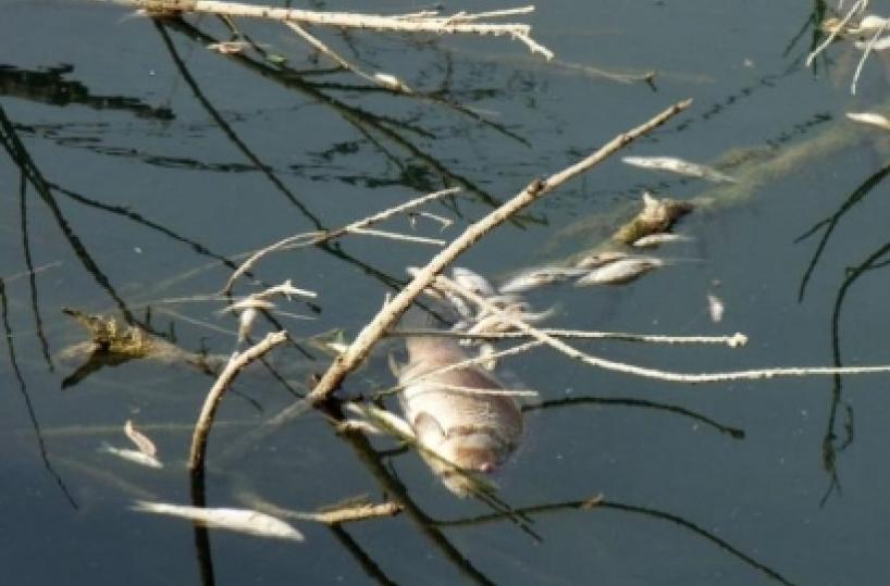 Montemurro in ansia «Acque contaminate nella diga del pertusillo»