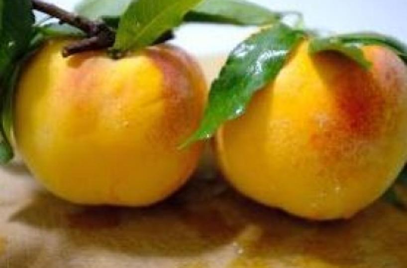 «Estate di sagre» Succosa e dolce a Turi ecco la percoca A Taranto la festa del made in Puglia