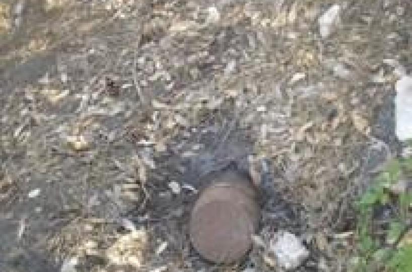 Ordigno bellico trovato in Parco Pollino