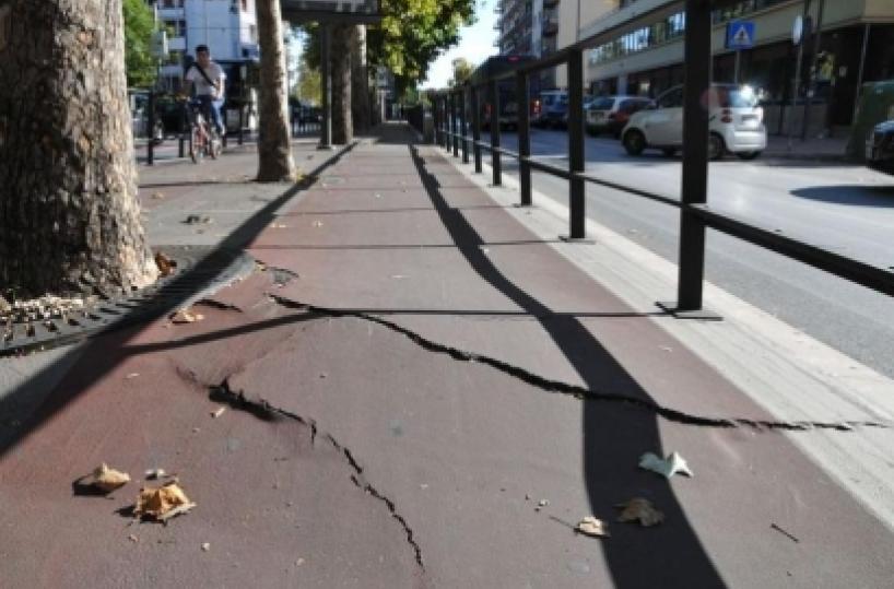 Una città sommersa nella illusionedi boschi d'asfalto