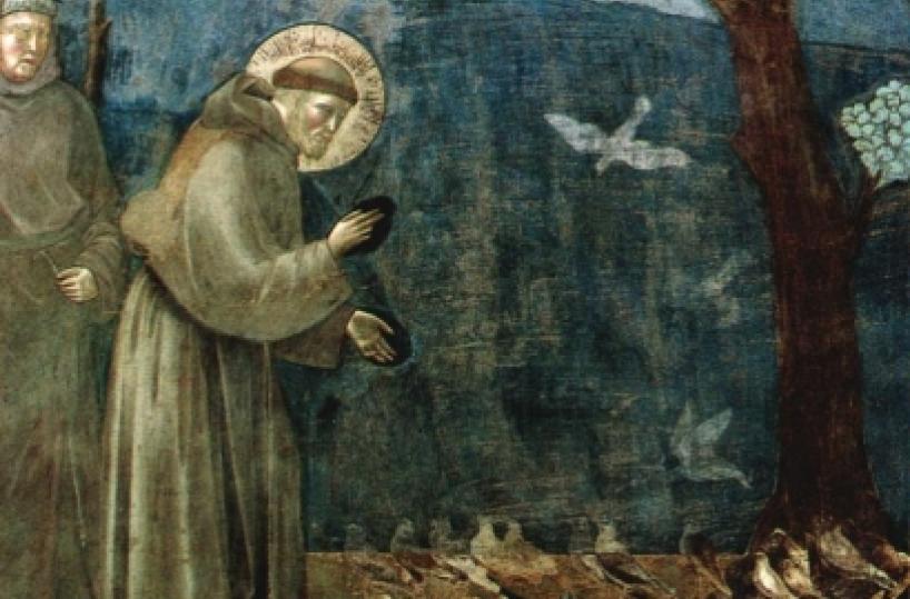 S.Francesco e il Gargano storie di conventi orme e pellegrinaggi