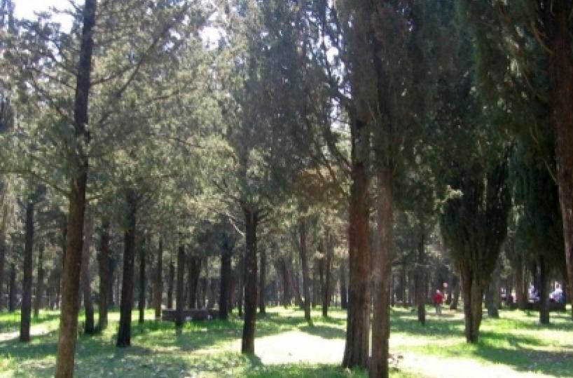 Lottizzazione abusiva illegittima la confisca se il reato &egrave; prescritto